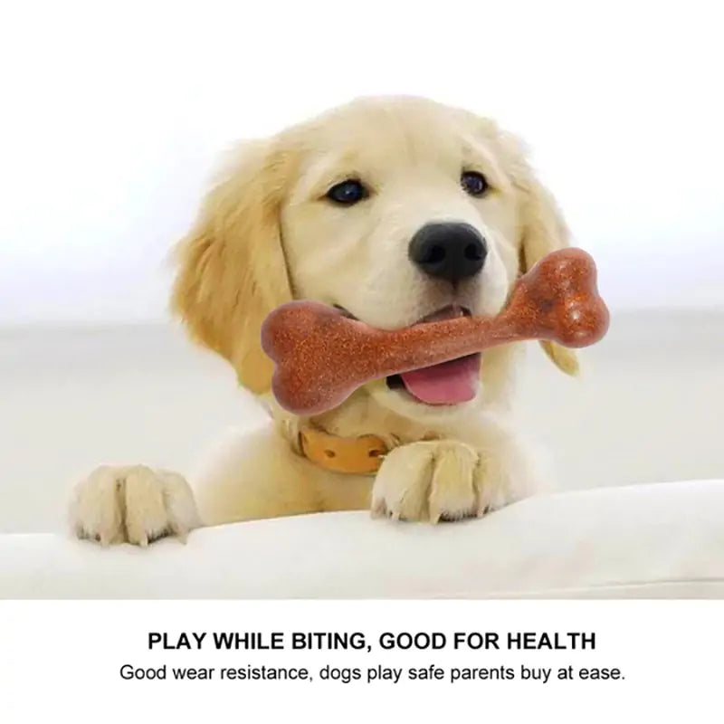 Dogs flavored Bone Chew Toy